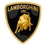 Lamborghini mechanical & electrical repairs